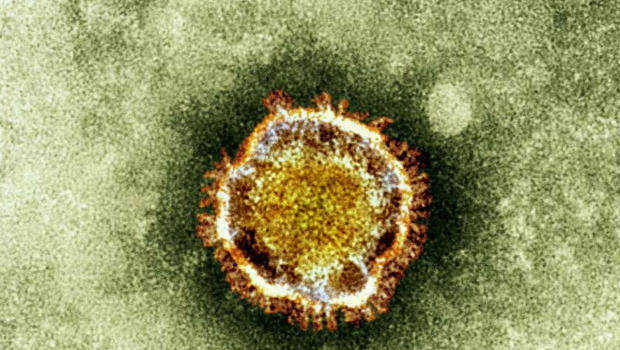 Comment expliquer la perte de l’odorat chez certains malades de Coronavirus ?