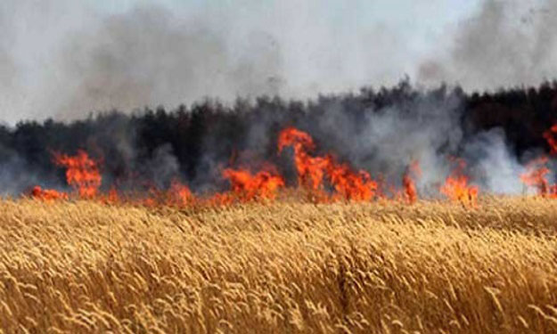 Tunisie-Siliana: Deux incendies maîtrisés à Sidi Ameur