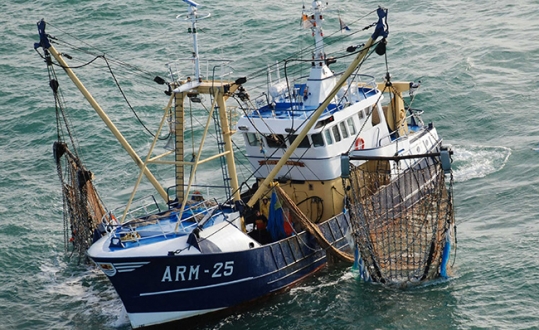 Tunisie: Les pêcheurs décident de fermer les ports de Rades et de Sfax