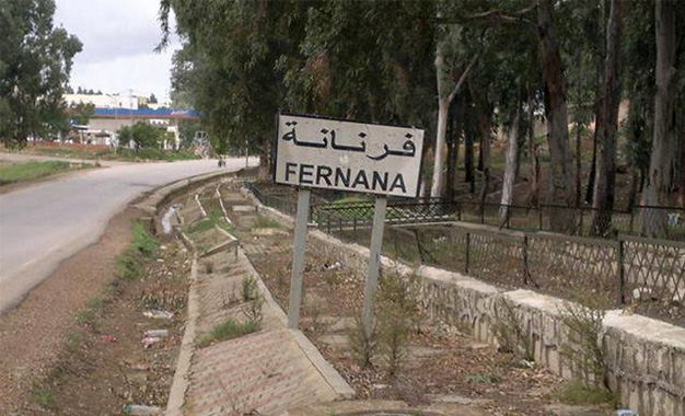 Attaque d’un sanglier sauvage à Fernana: Deux hommes gravement blessés