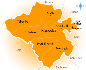 Tunisie : Une école primaire vandalisée à la Manouba