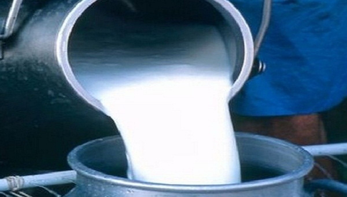 Tunisie: Les producteurs de lait manifestent devant le ministère de l’Agriculture
