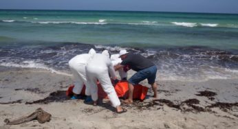 Sfax-Migration: Hausse du nombre de cadavres de subsahariens naufragés