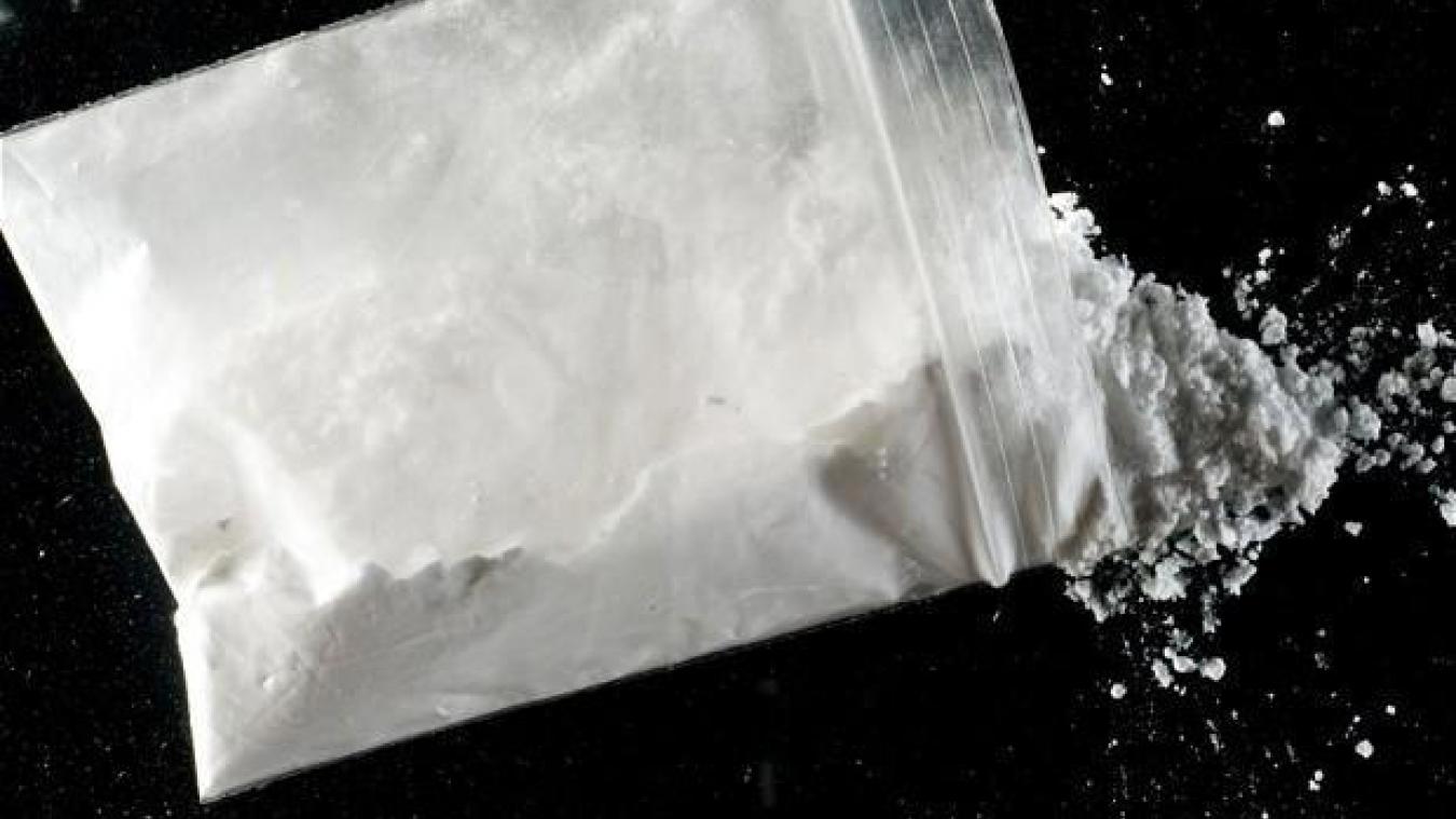 Pays-Bas – Record de Saisie de Cocaïne : Plus de 8 Tonnes Dissimulées dans un Conteneur de Bananes
