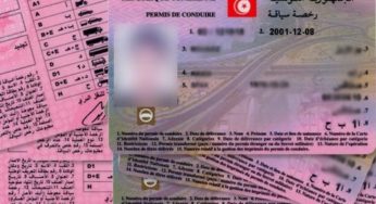 Confinement : Saisie de 208 permis de conduire à Siliana