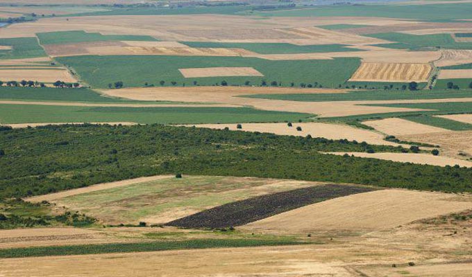 Zaghouan: Récupération de 15 hectares de terres domaniales
