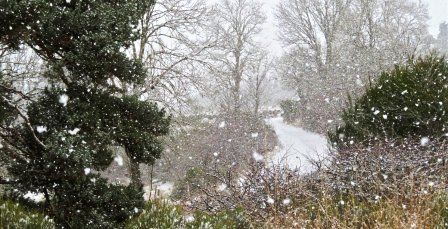 Tunisie: Jendouba se prépare à l’arrivée de la neige