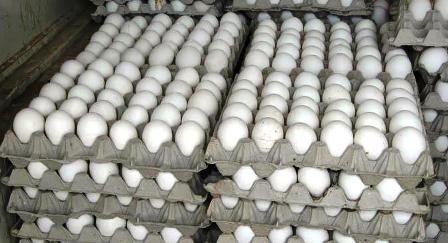 Tunisie: Le prix de vente des œufs reste inchangé