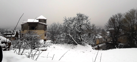 Tunisie – Beja : Routes coupées par les chutes de neige et arbres déracinés par le vent