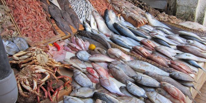 Mégrine: Du poisson et des fruits de mer avariés saisis au marché de Sidi Rezig