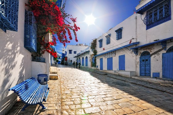 Tunisie-[photos] Lancement d’une campagne de propreté à Sidi Bou Saïd