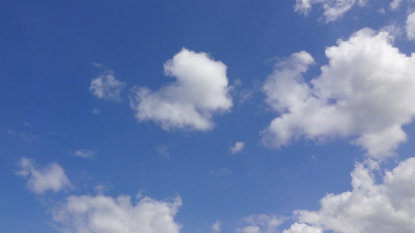Météo: Prévisions pour Vendredi 08 Février 2019