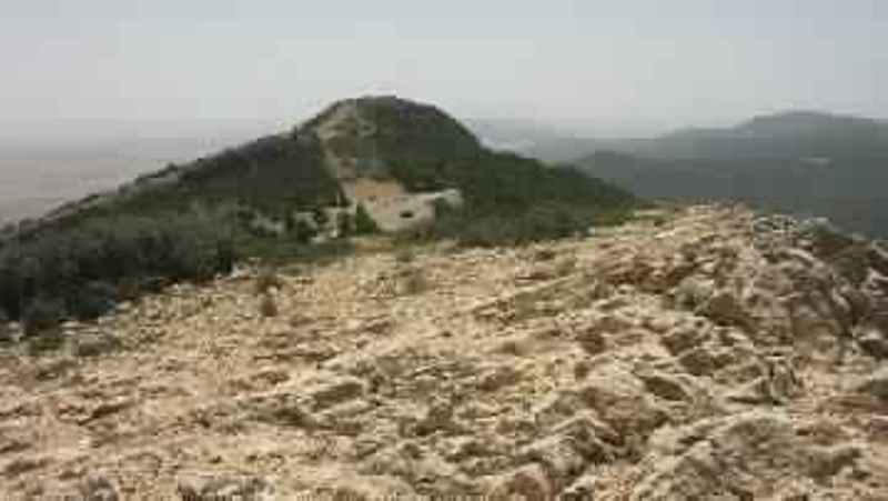 Tunisie: Des hommes masqués ligotent un berger et volent son troupeau près du mont Selloum