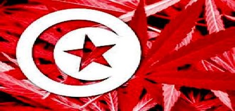 Acharnement de violence en Tunisie… Qu’y a-t-il derrière ?