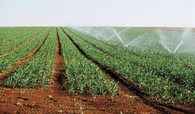 Tunisie: Adoption d’un nouveau système d’exploitation des ressources hydrauliques par les agriculteurs