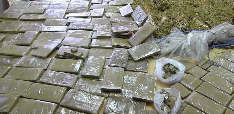 Tunisie: Saisie d’une importante quantité de cannabis à Bizerte d’une valeur de 1,5 million de dinars