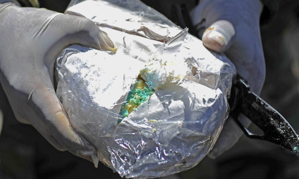 Algérie: Saisie de plus d’un kg et demi de cocaïne dans un conteneur appartenant à un député