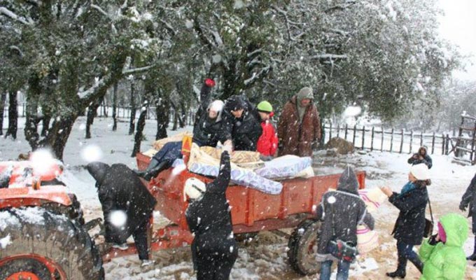 Tunisie: Projet de code d’assurance contre les catastrophes obligeant les entreprises à y adhérer sera présenté au Parlement