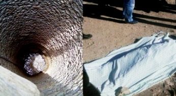 Tunisie – Gafsa : Le cadavre d’un jeune repêché dans un puits