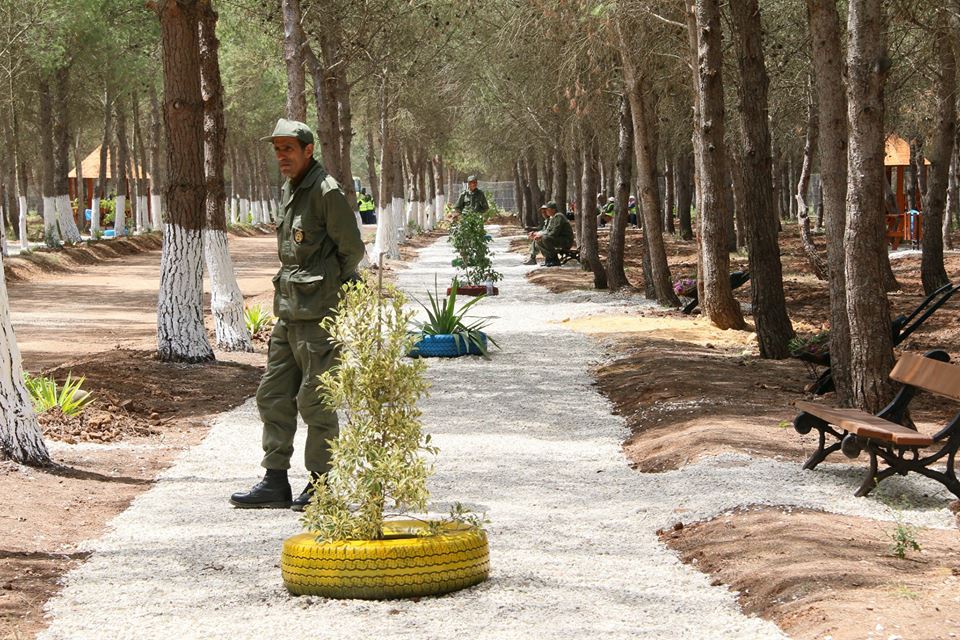 Tunisie- Le ministre de l’agriculture inaugure la première forêt urbaine