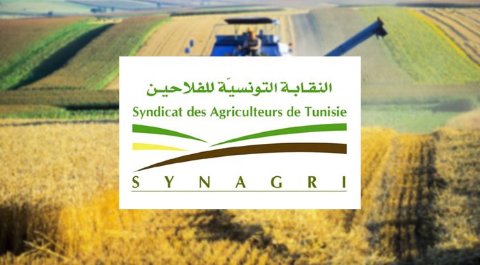 Tunisie: Le syndicat des agriculteurs dénonce la hausse des tarifs du lait et des céréales