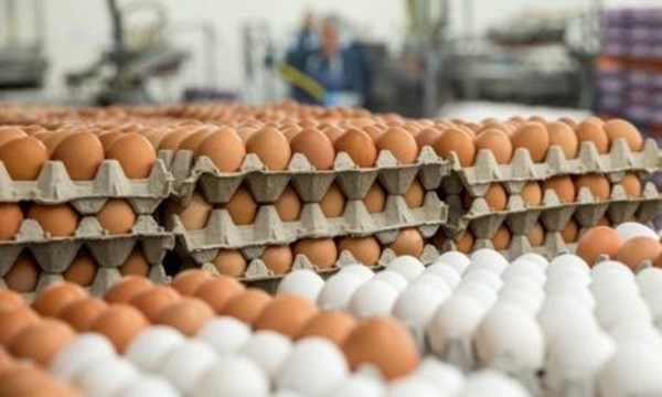 Tunisie: Saisie de 175.000 œufs et 5 tonnes de dattes à Tunis