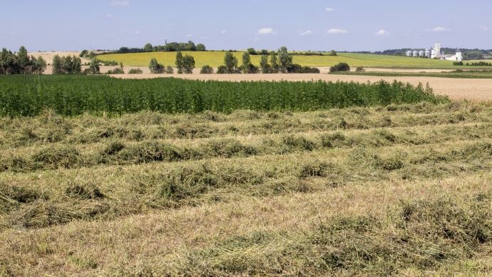 Tunisie- La STEG décide de couper l’électricité dans quelques 27 mille hectares de terre agricoles à Nabeul