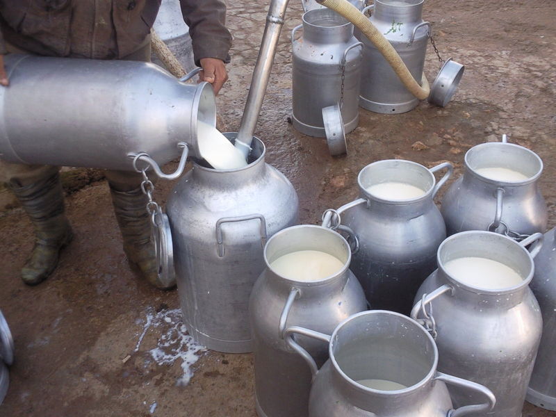 Tunisie: Abdelmejid Zar, l’UTAP attachée à une augmentation de 180 millimes au litre de lait