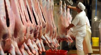 Tunisie-Ramadan: 140 tonnes de viande ovine importées à 22,5 dinars le kilo