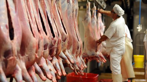 Tunisie-Ramadan: 140 tonnes de viande ovine importées  à 22,5 dinars le kilo