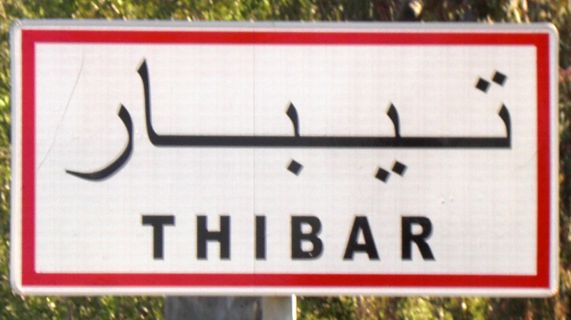Tunisie- Douze membres du conseil municipal de Thibar à Béja démissionnent