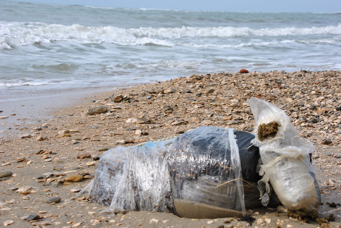 Tunisie: Découverte de 25,8 kg de résine de cannabis sur une plage à Sfax