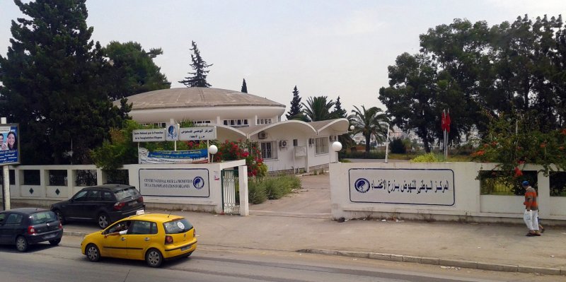Tunisie: 29 opérations de greffes de rein réalisées depuis janvier 2019