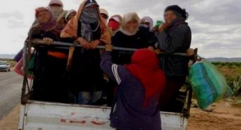 Tunisie – Enfin… Les autorités réagissent face au transport illégal des ouvrières agricoles