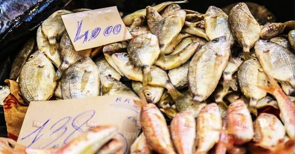 Tunisie – Certains commerçants recourent au « maquillage » des poissons avariés pour les vendre