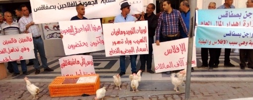 Tunisie – Sfax : Protestation des éleveurs de poulets et producteurs d’œufs