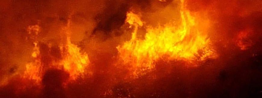 Tunisie- L’incendie de Borj Chekir est catastrophique selon un expert environnemental