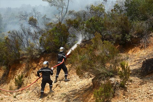 Tunisie: 594 feux circonscrits entre le 4 et le 13 juin 2019, une hausse de 202 incendies par rapport à 2018