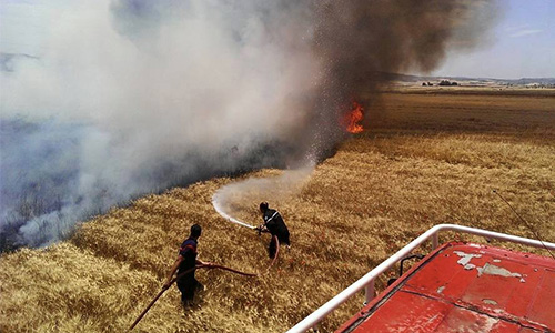 Tunisie: 20,5 ha de blé et d’orge réduits en cendres lors d’incendies à Siliana