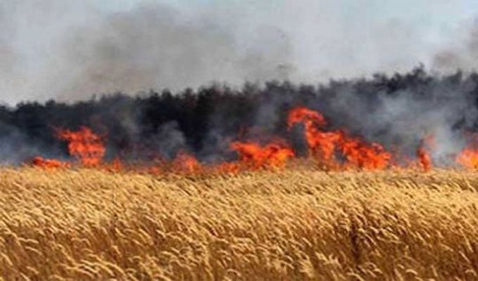Tunisie: Nouvel incendie dans un champ de blé à Siliana