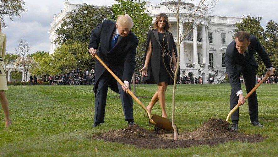 Etats-Unis- Le chêne planté par Macron et Trump n’a pas survécu