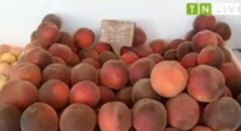 Tunisie- [ vidéo] Les prix au marché de Beb Ejdid à Sousse