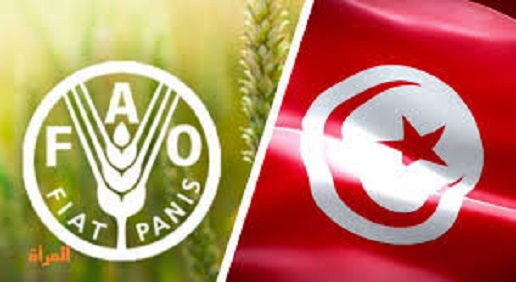 La Tunisie élue membre du Conseil de la FAO