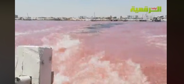 Tunisie – L’énigme de la couleur rouge de la mer à Sfax résolue