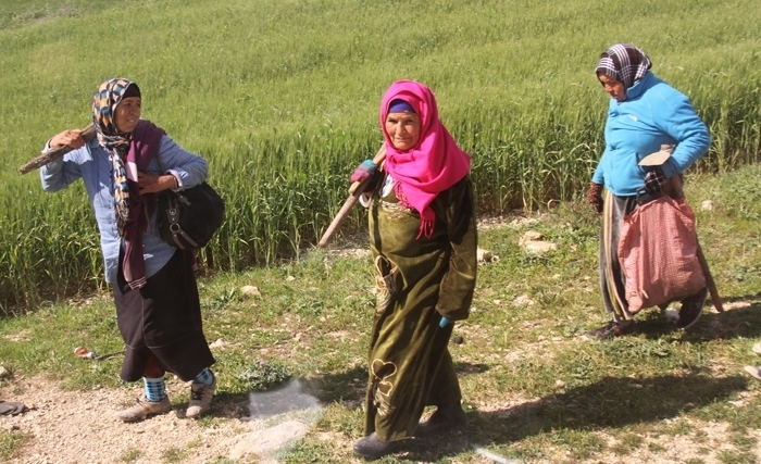 Tunisie- Lancement de deux programmes nationaux en faveur des femmes agricoles à Kasserine