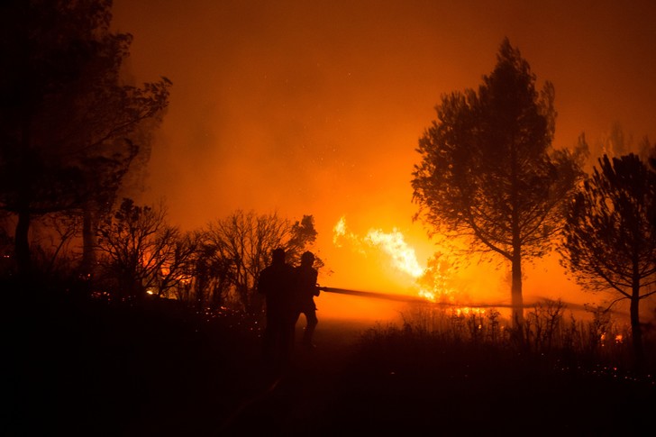 Tunisie :  Incendie dans la forêt de Dar Chichou à el Haouaria