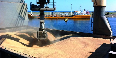 Tunisie – Malgré une récolte record, le ministère de l’Agriculture importe 67 000 tonnes de céréales