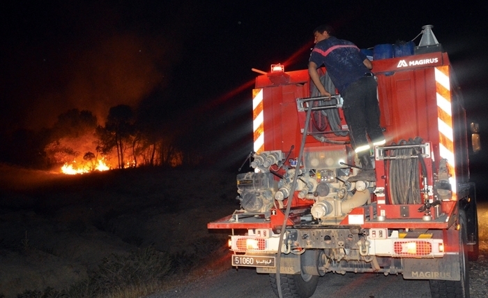 Tunisie- L’incendie de la pinède de Béni Khiar maîtrisé