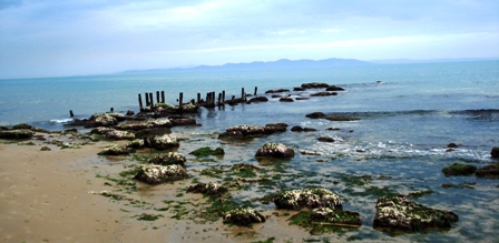 Tunisie – La commune de Carthage invite les riverains à éviter la baignade dans la localité