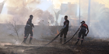 Tunisie – Sousse : Un énorme incendie dévaste la forêt à Kalaâ Kobra